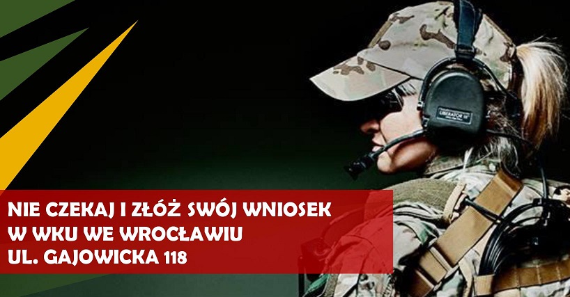obraz na stronie Wybierz Wojsko Polskie!