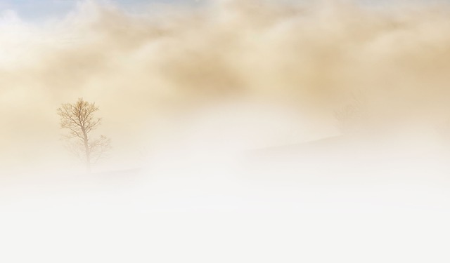 obraz na stronie Ostrzeżenie Meteo - mgła