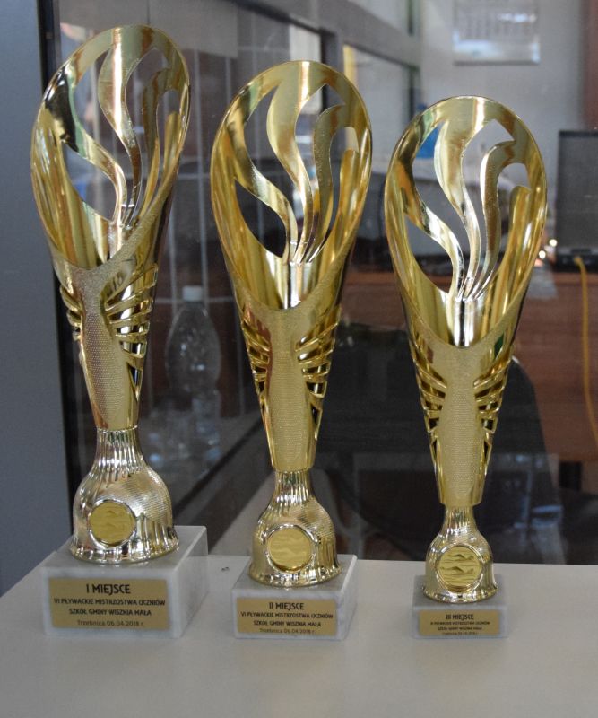 obraz na stronie VI Pływackie Mistrzostwa Uczniów Szkół Gminy Wisznia Mała