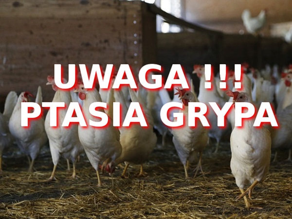obraz na stronie Rozporządzenie nr 15 Wojewody Dolnośląskiego w sprawie wysoce zjadliwej grypy ptaków (HPAI)