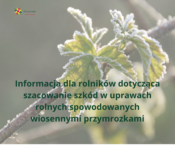 obraz na stronie Informacja dla rolników dotycząca szacowanie szkód w uprawach rolnych spowodowanych wiosennymi przymrozkami