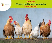 obraz na stronie UWAGA! Wysoce zjadliwa grypa ptaków ODWOŁANA!