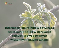 obraz na stronie Przymrozki wiosenne 2026 – nabór wniosków o szacowanie strat