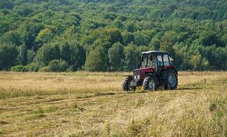 Obraz przedstawiający Rolniku, unikaj upadku