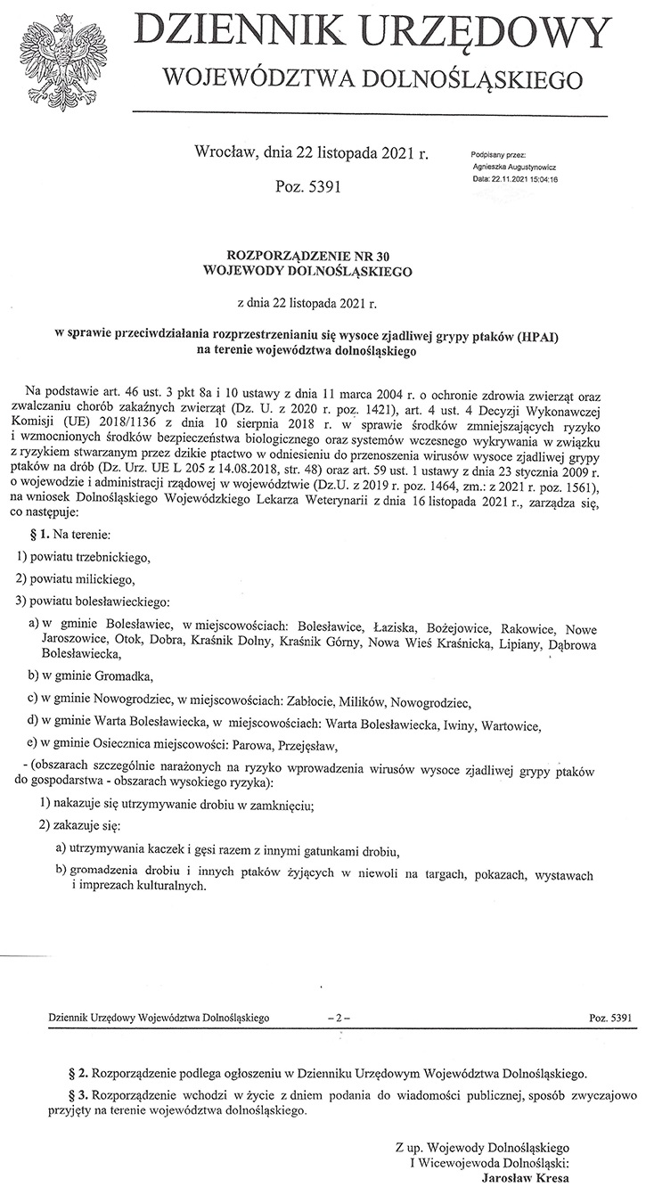Obraz przedstawiający Wysoce zjadliwa grypa ptaków (HPAI)